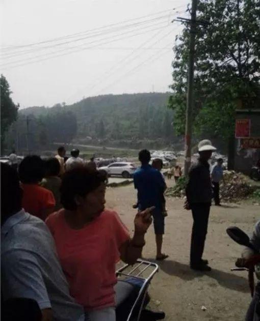 莆田东海镇爆料案件最新,真相渐明，疑云散去