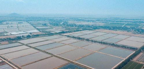 新瓜最新爆料钓鱼,钓鱼事件背后的惊人真相